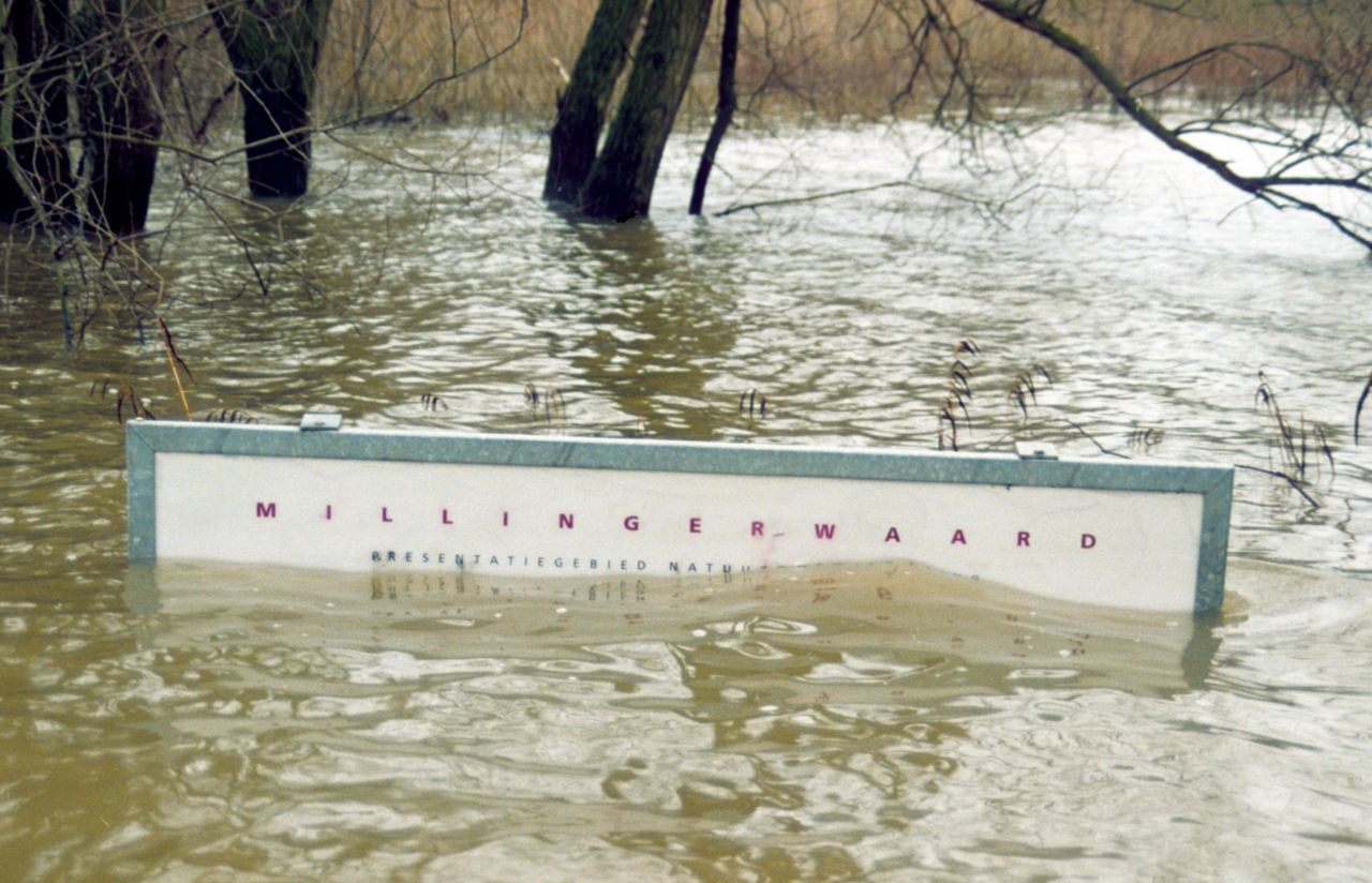 Hoogwater 1995 in de Millingerwaard (foto: Johan Bekhuis ARK)