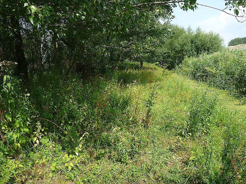 Structuurrijke bosrand (foto: Esther Linnartz)