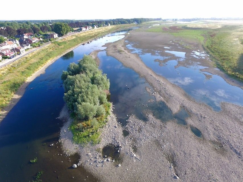 Grensmaas Borgharen (foto: Twan Teunissen)