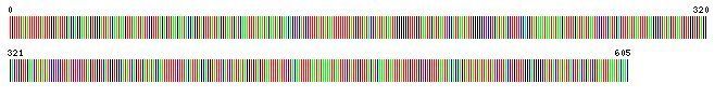 DNA-barcode weergegeven als streepjescode (foto: C. Doorenweerd)