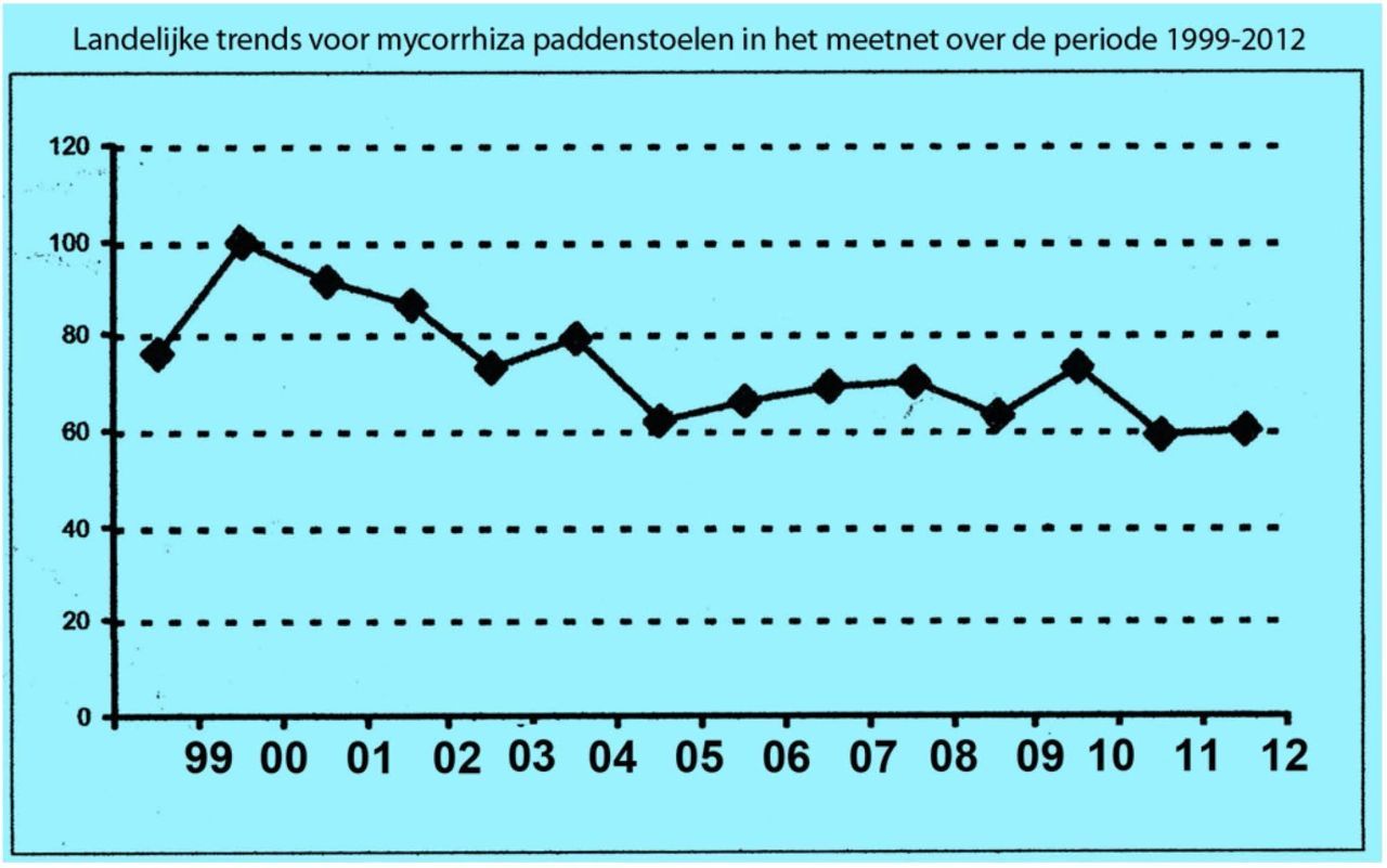 Aantal mycorrhiza paddenstoelen in het Paddenstoelenmeetnet van 1999 tot en met 2012 (bron: CBS)
