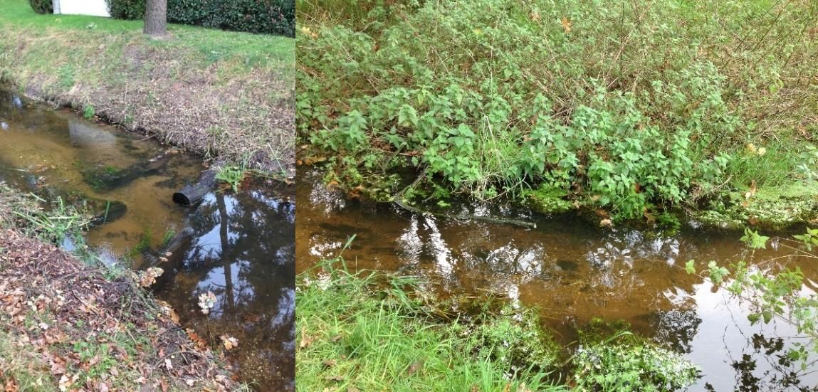 Door het inbrengen van dood hout wordt de stroomsnelheid gevarieerder en daardoor de bodem: kaal zand, grind en takjes wisselen elkaar af (foto’s: Mieke Moeleker)