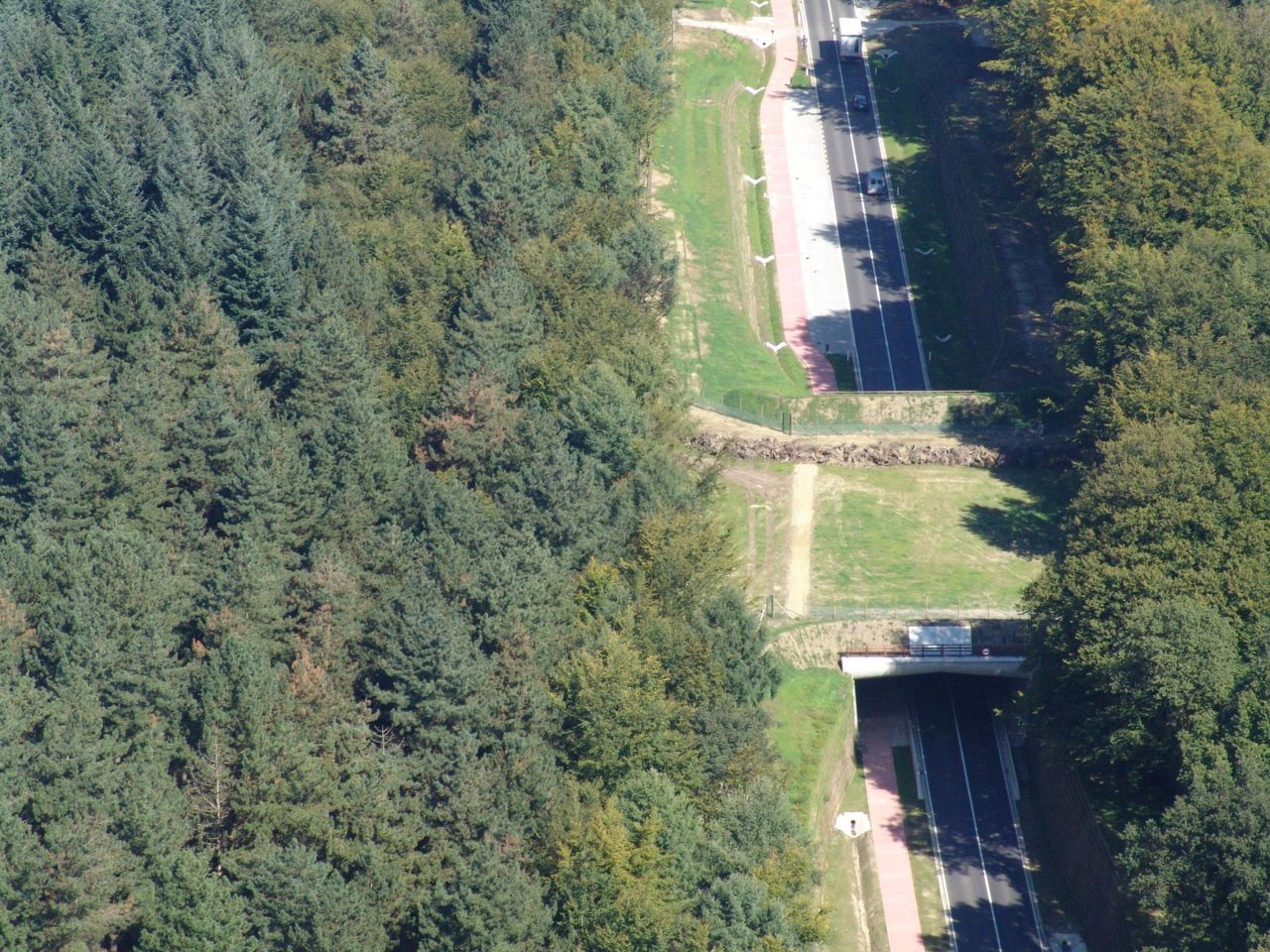 Het ecoduct met zandbed, stobbenwal en ruiterpad. (foto: ANB)