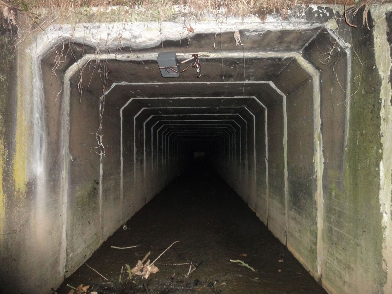 Tunnels zonder of met weinig kunstmatige verlichting worden vaak gebruikt door vleermuizen om ondergronds van de ene kant van een (te) fel verlichte autoweg naar de andere kant te vliegen (foto: Bob Vandendriesche)