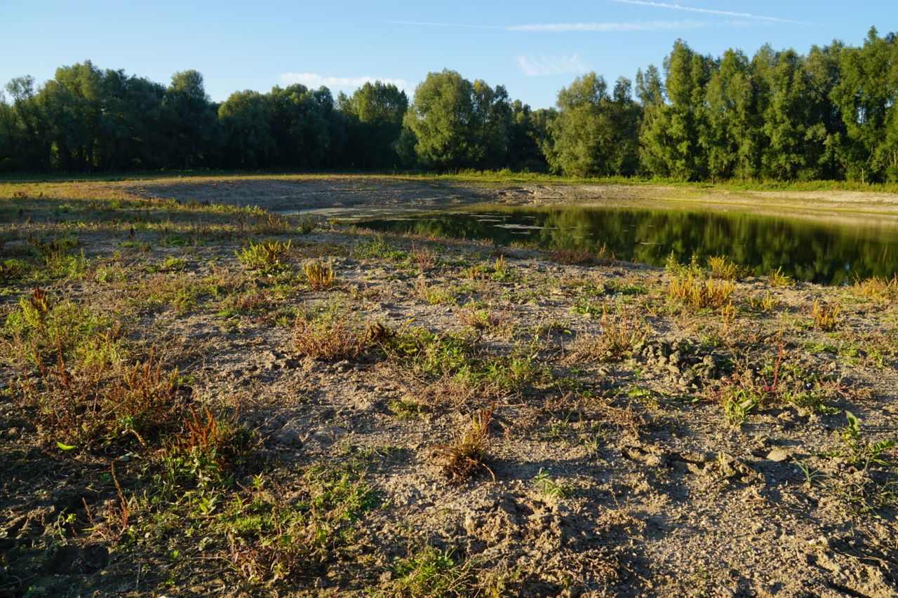 Klimaatbuffer Beuningen in oktober 2015 (foto: Twan Teunissen)