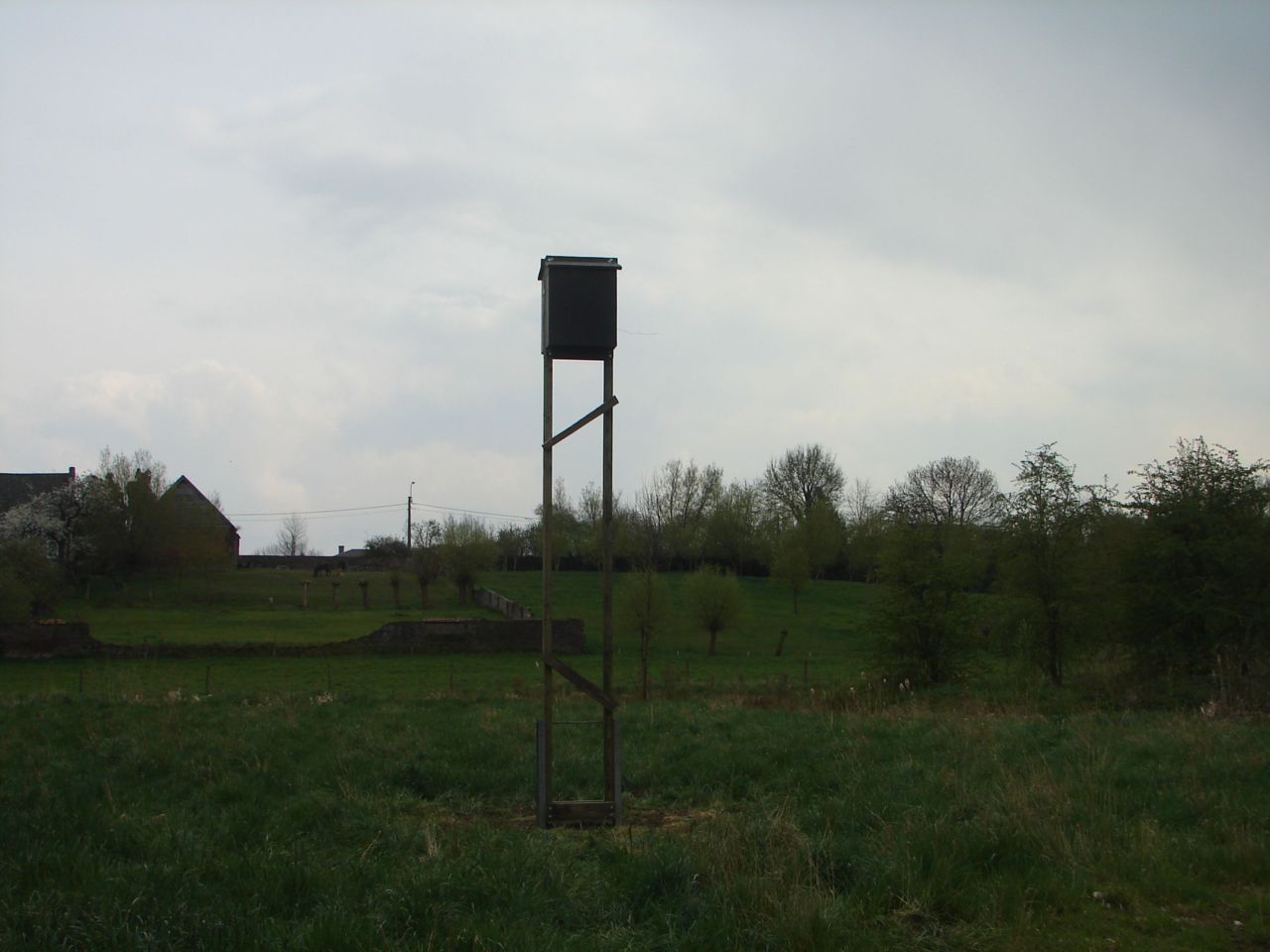 Echte paalwoningen zijn het: de nagelnieuwe vleermuiskasten in Merelbeke. (foto: David Galens)