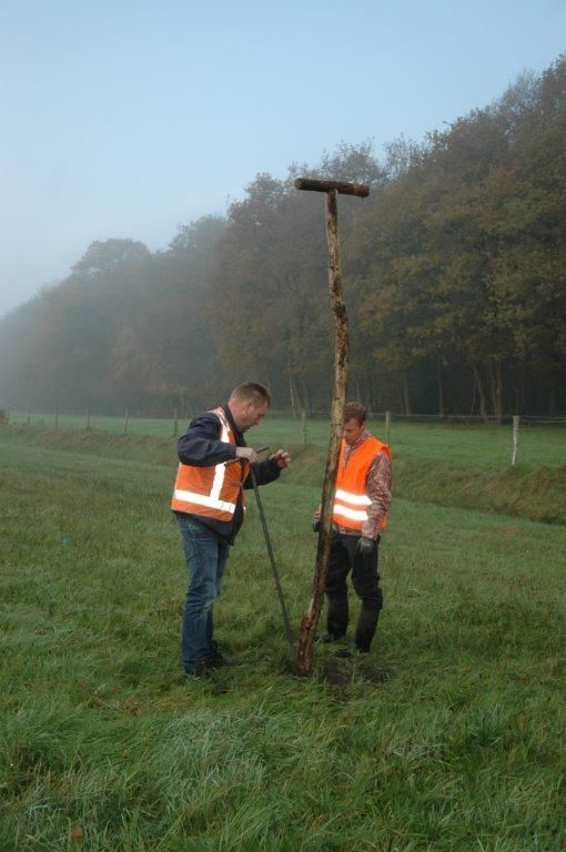 Kerkuilpaal (foto: Johan de Jong)