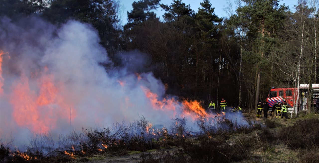 Vrijwilligers nemen vleermuisgeluiden op met een batlogger (foto: Landschap Noord-Holland)