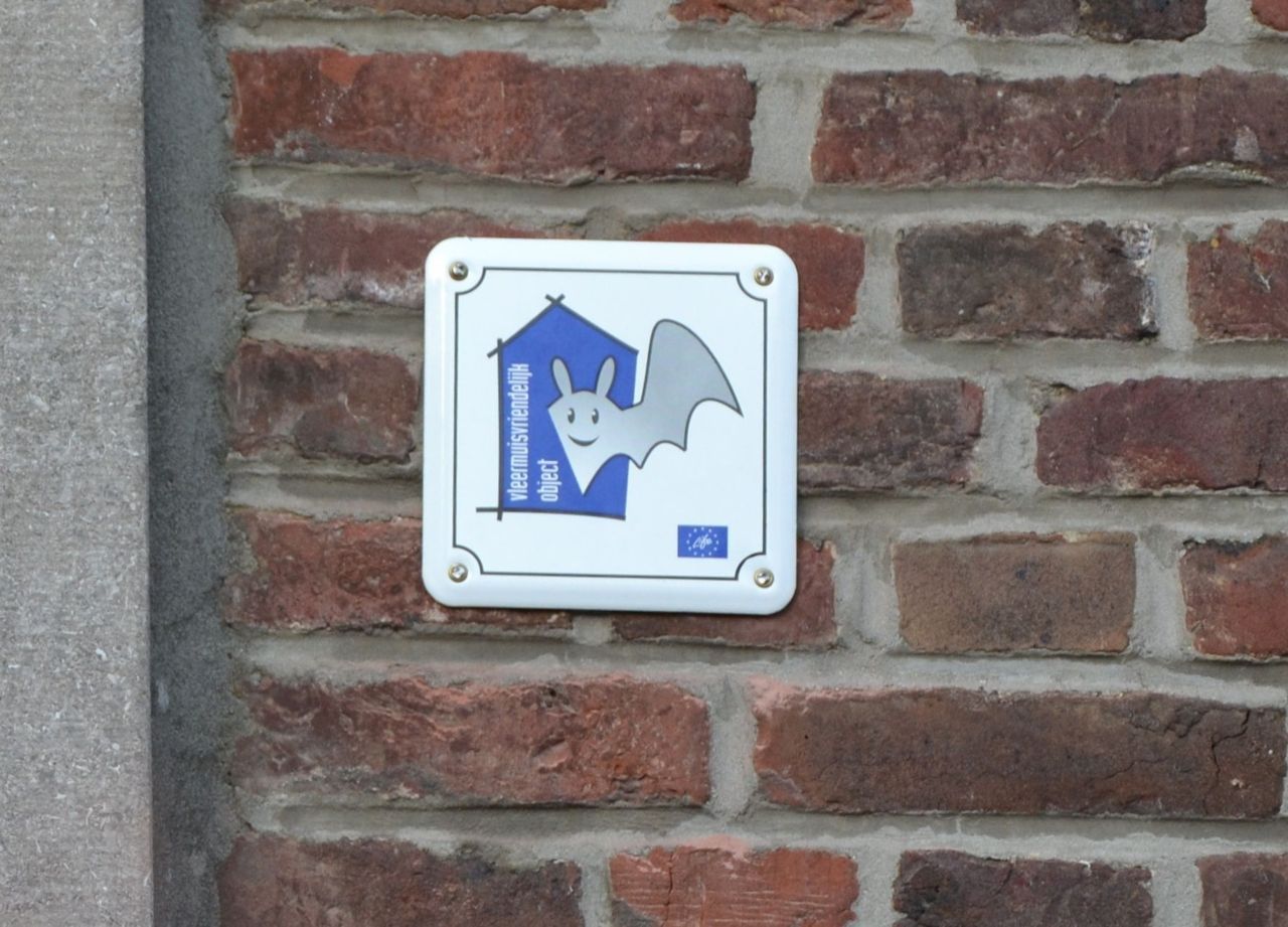 Schildje Vleermuisvriendelijk Object op de muur van de Sint-Petruskerk in Dikkelvenne (foto: David Galens)