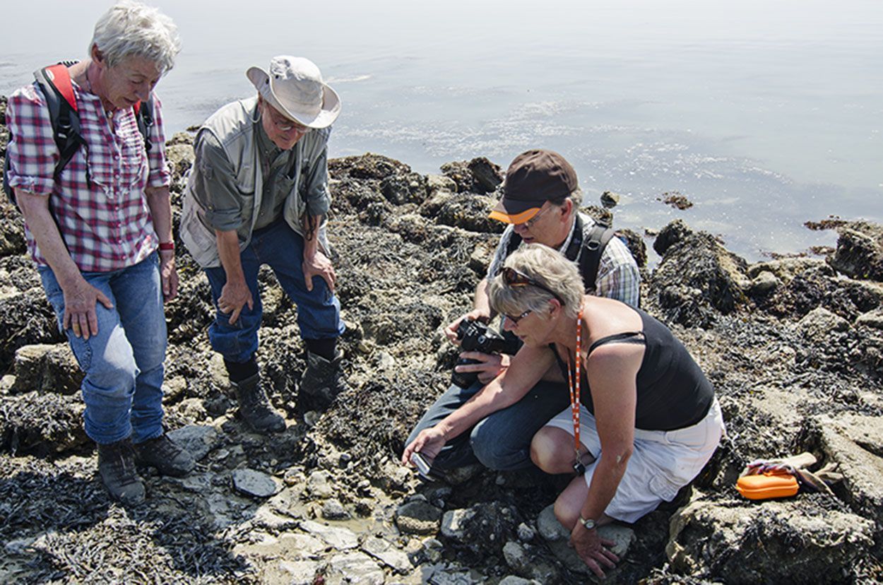 Excursie langs de laagwaterlijn van de Oosterschelde voor sponsoren van Natuurbericht.nl (foto: Peter H van Bragt)