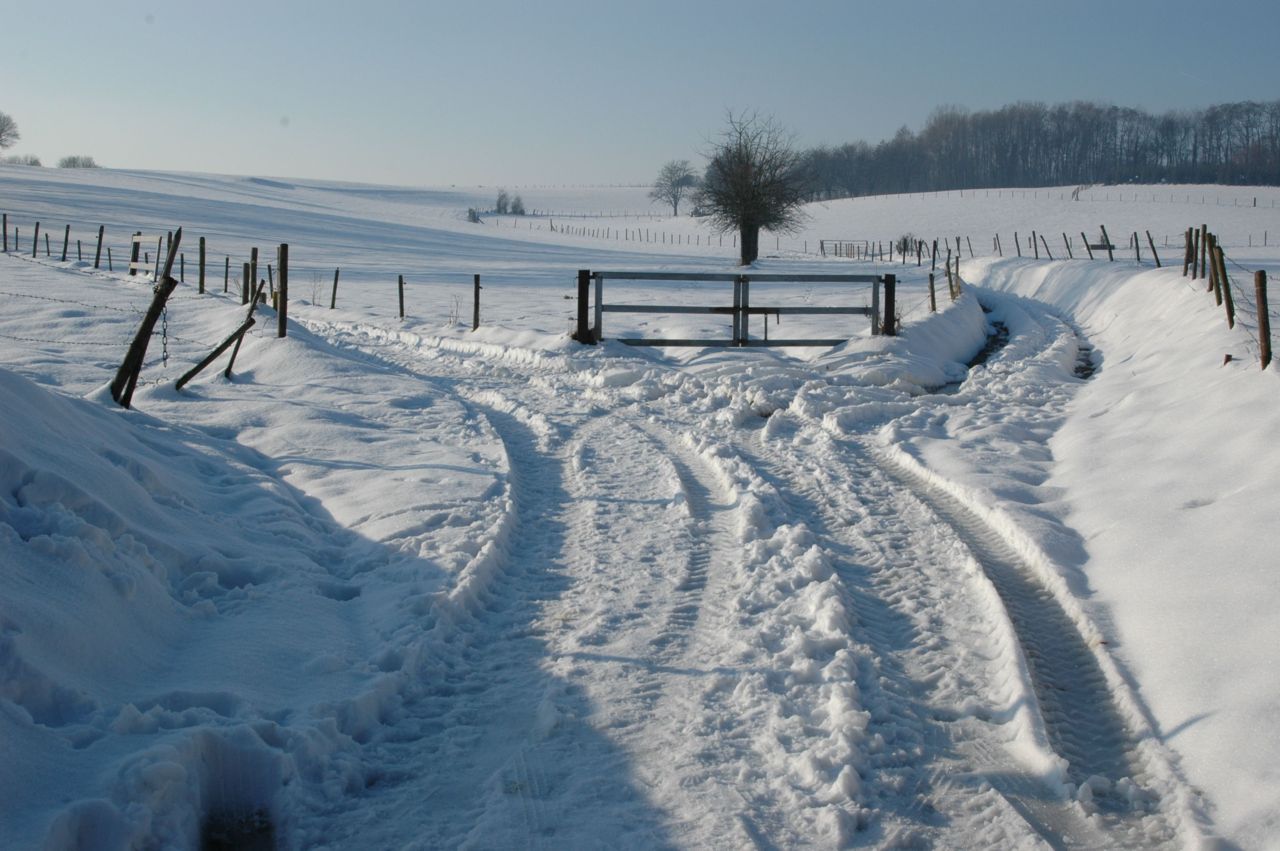 Terugblik op het winterse landschap van 2010 (foto: Wout van der Slikke)