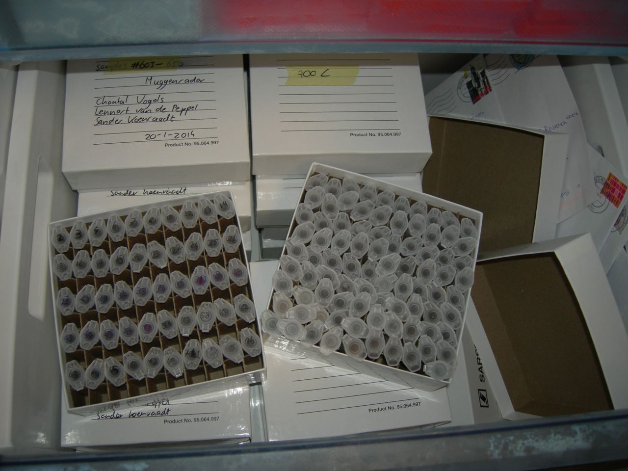 Alle muggen worden in plastic buisjes gedaan die genummerd worden waarna ze ingevroren worden totdat ze nader geanalyseerd worden (foto: Muggenradar.nl)