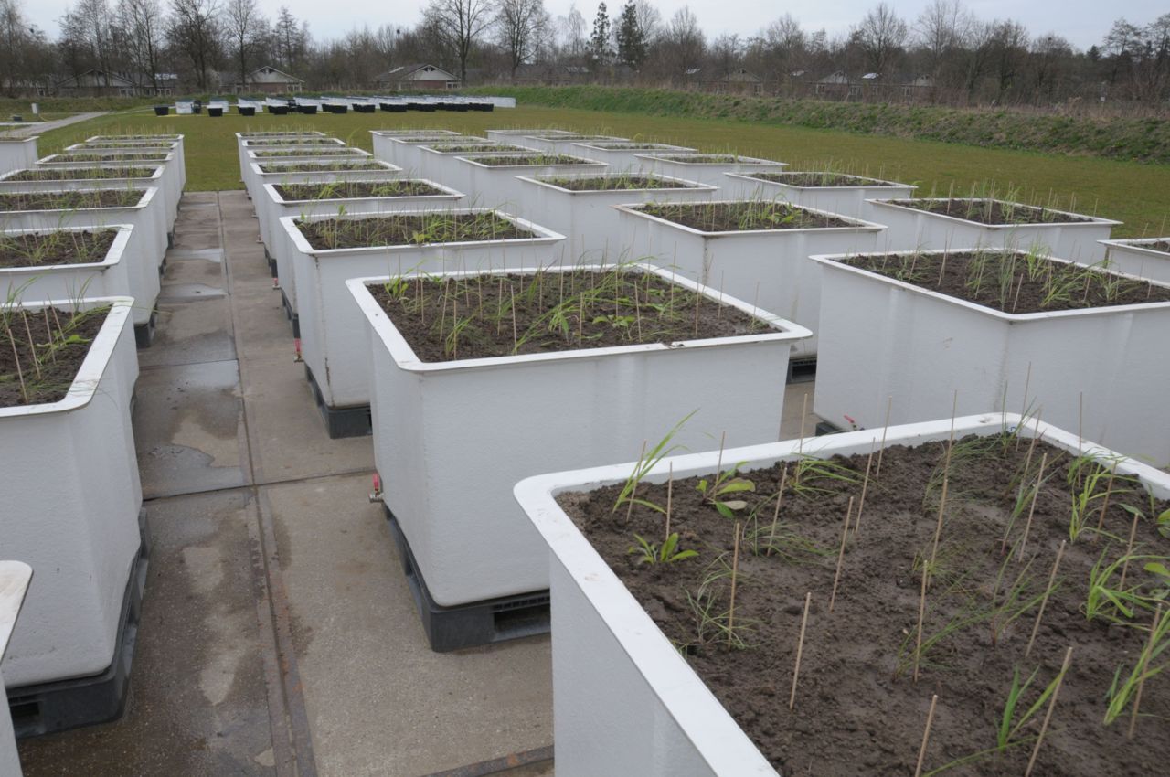 Proefopstelling Ecosystemen van de toekomst (foto: Freddy ten Hooven)