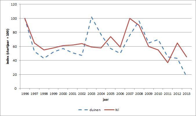 Aantalsontwikkeling van de eekhoorn in de duinen en in Nederland (figuur: Zoogdiervereniging)