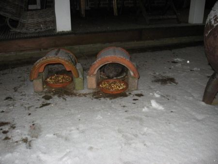 Overdekte voederplaats voor egels (foto: Marleen Landman)