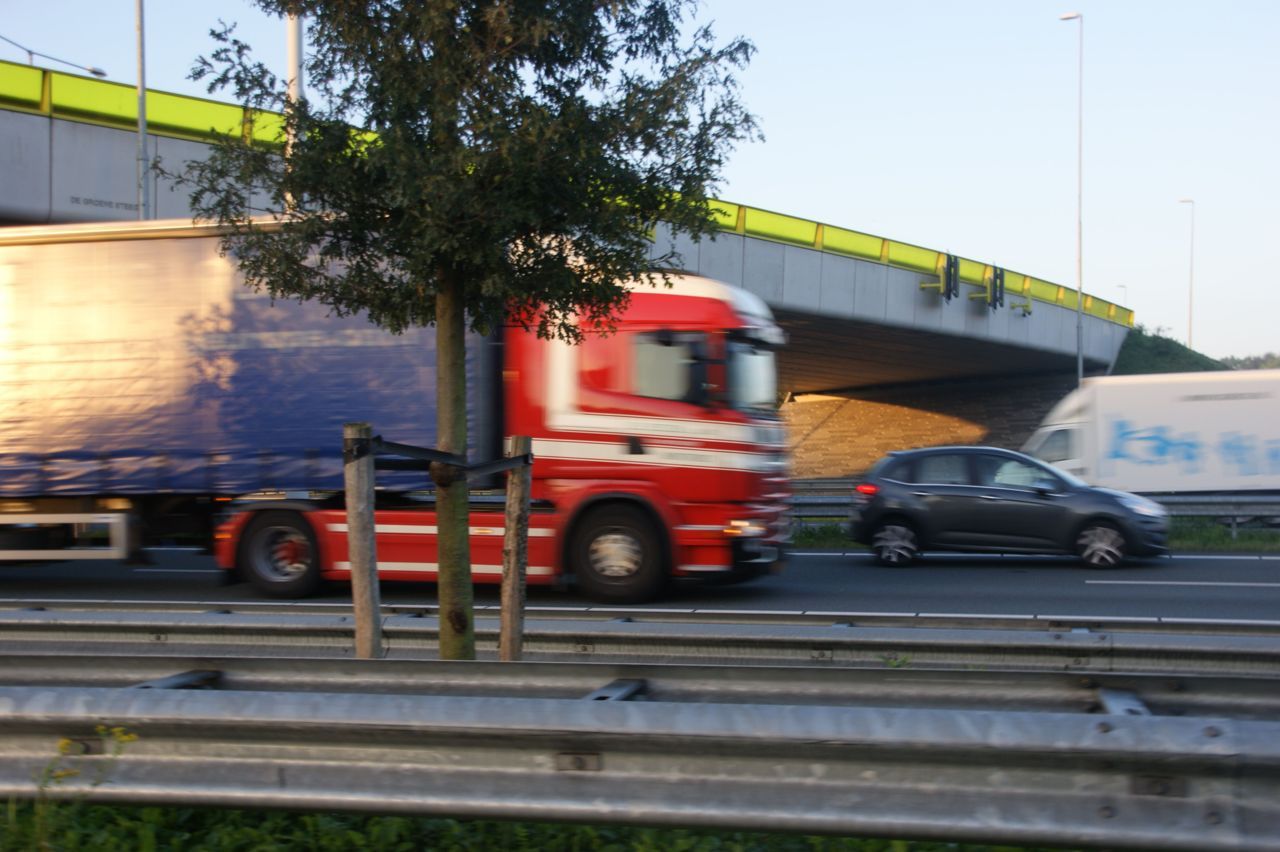 Eikenprocessierupsen langs de A2 bij Den Bosch (foto: Henry Kuppen)