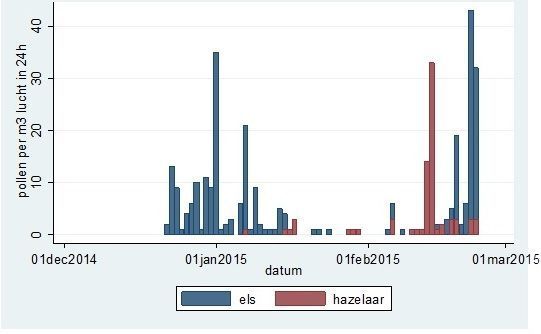 Het aantal door het LUMC getelde elzen- en hazelaarpollen in de periode van 1 december 2014 tot 23 februari 2015 (bron: Allergieradar.nl)