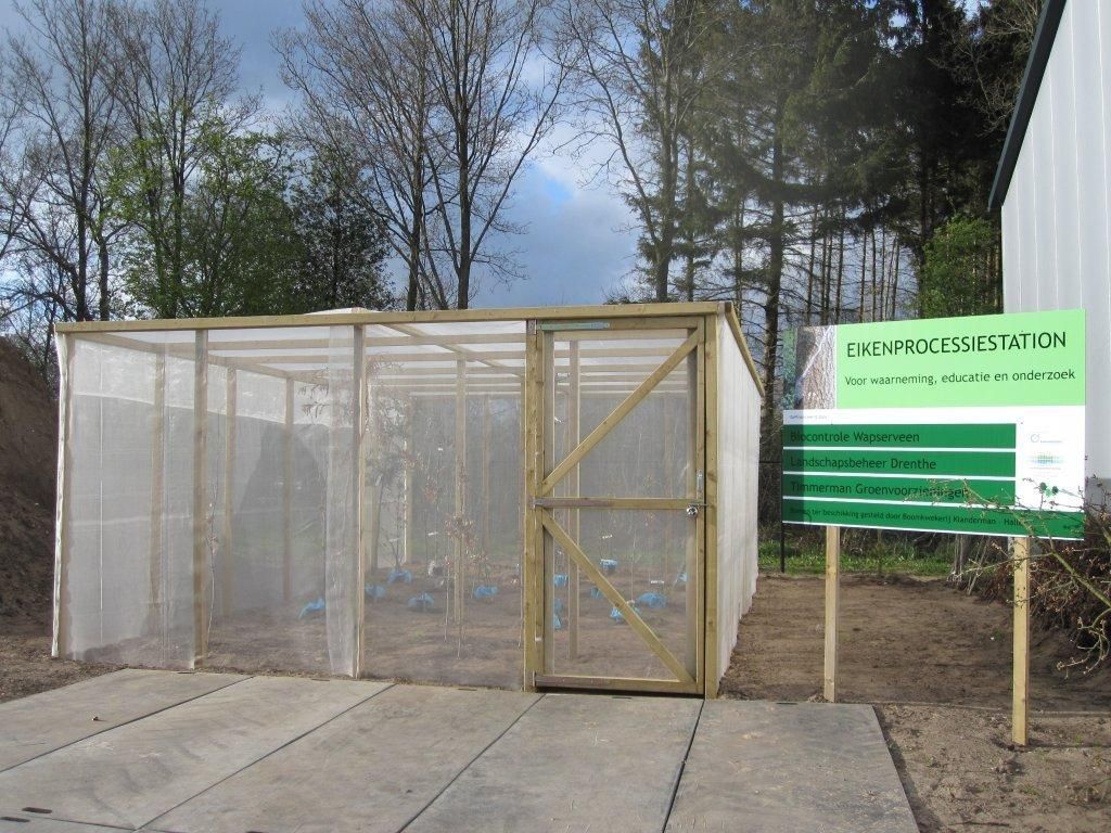 Eikenprocessierups proefstation te Dieverbrug, Drenthe (foto: Silvia Hellingman)