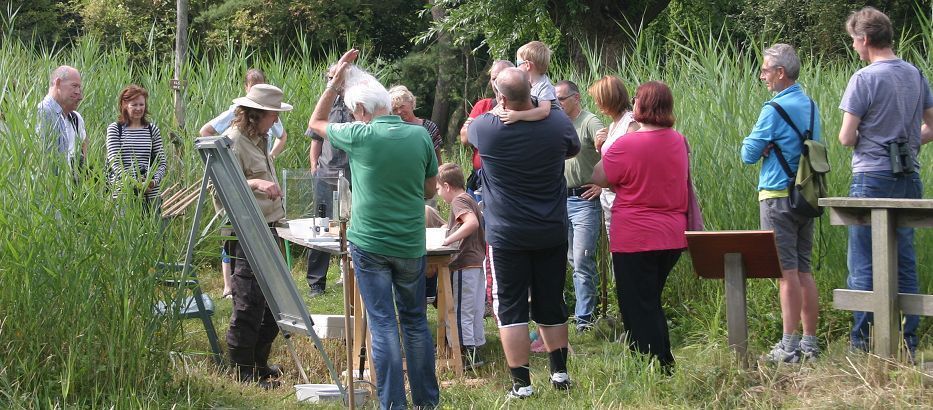 Excursie in de heemtuin van Zaandam (foto: Jinze Noordijk)