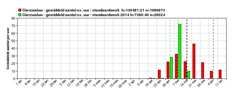 Gemiddeld aantal gierzwaluwen per uur in het verleden (rood) en in 2014 (groen) (figuur: Trektellen.nl)