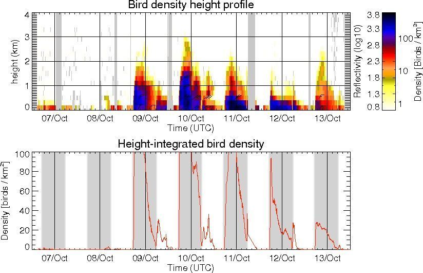 Figuur 1: Vogeltrek intensiteit (kleur) op verschillende hoogtes in de week van 7-13 oktober 2015 op de radar van Zaventem (België). In de onderste grafiek wordt de totale dichtheid aan vogels per vierkante kilometer weergegeven. Dat de aantallen in de onderste grafiek in drie nachten boven de 100 vogels per vierkante kilometer uitkomen is bijzonder (figuur: birdtam)