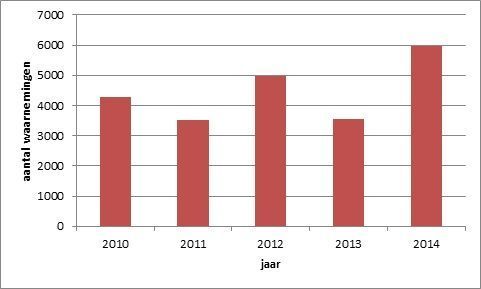 Figuur 1. Aantal eekhoornwaarnemingen in de Nationale Databank Flora en Fauna (NDFF) in de periode 2010-2014 (bron: NDFF)
