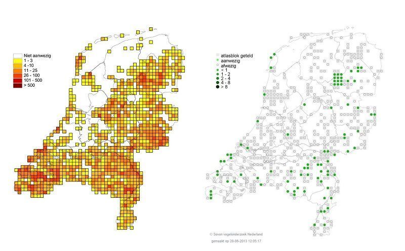 Figuur 1. Links de aantalschatting van zomertortels uit de broedvogelatlas van 2002. Rechts het voorlopige beeld van de nieuwe vogelatlas. De witte rondjes geven aan waar de soort niet meer is aangetroffen (bron: Sovon Vogelonderzoek Nederland)