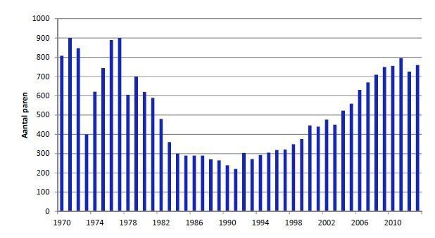 Aantal paren Purperreigers in Nederland van 1970 tot en met 2013 (figuur: Sovon)