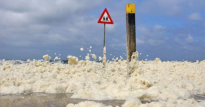 Het schuim kan tot hoog opgeklopt worden (foto: Foto Fitis, Sytske Dijksen)