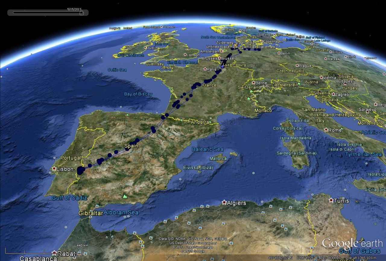 GPS-loggerdata van ’Focko’, augustus 2012 tot en met mei 2013 (kaartje: Google Earth, Werkgroep Grauwe Kiekendief)