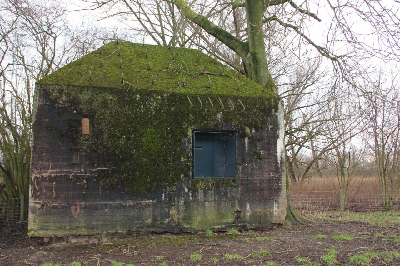Bunker van de Nieuwe Hollandse Waterlinie (foto: Wiegert Steen)