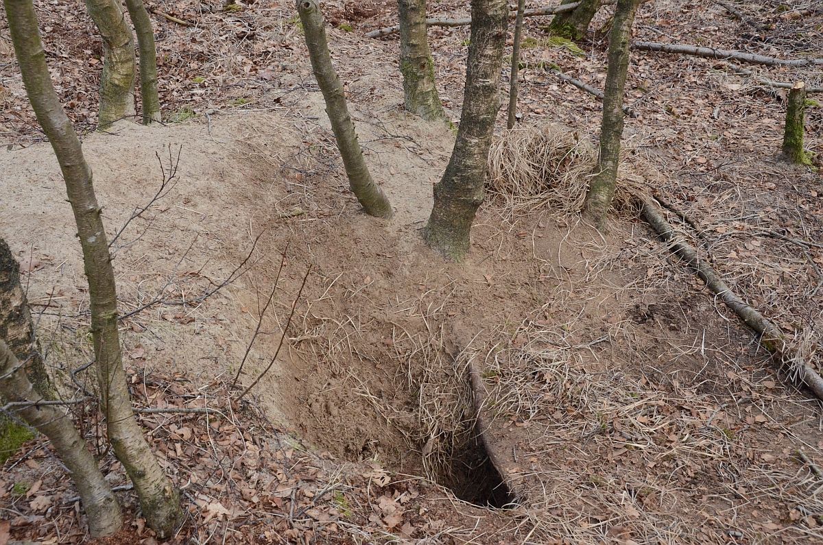 Nestmateriaal (foto: Aaldrik Pot)