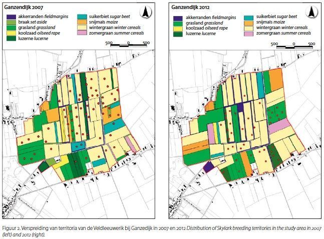 Afbeelding uit het Limosa-artikel ’Akkerrandenbeheer niet de sleutel tot succes voor de Veldleeuwerik in Oost-Groningen’ in het themanummer Akkervogels (afbeelding: Henk Jan Ottens)