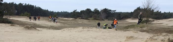 Met meer dan 150 aan het werk op het Kootwijkerzand (foto: Kars Veling)