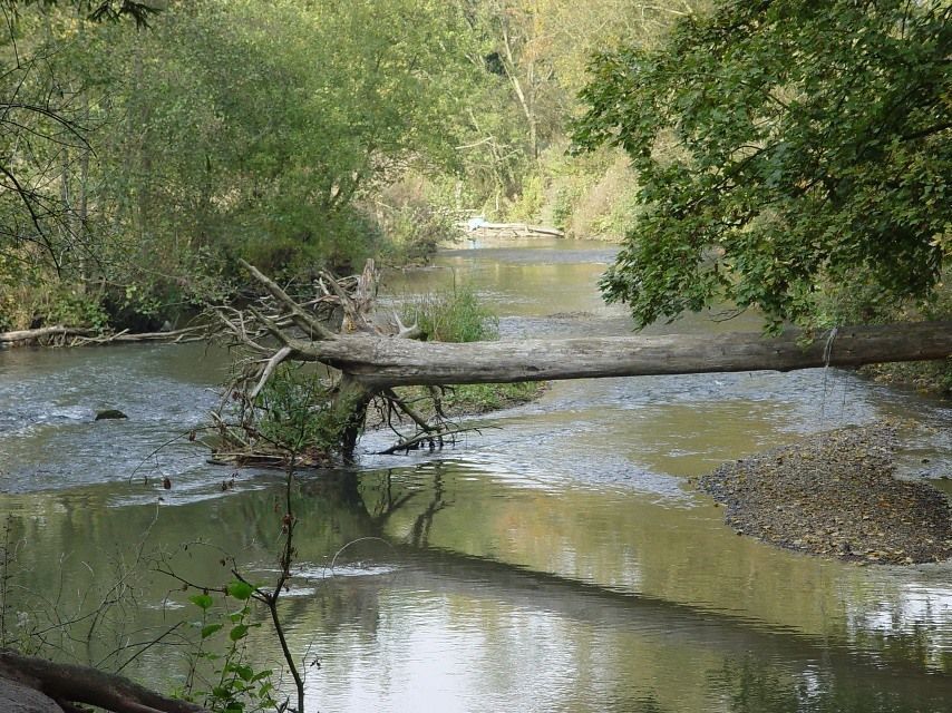 Het Geuldal (foto: Leo Linnartz)