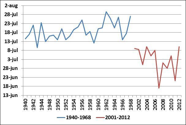 Bloei boerenwormkruid in de perioden 1940-1968 en 2001-2012 (figuur: De Natuurkalender)