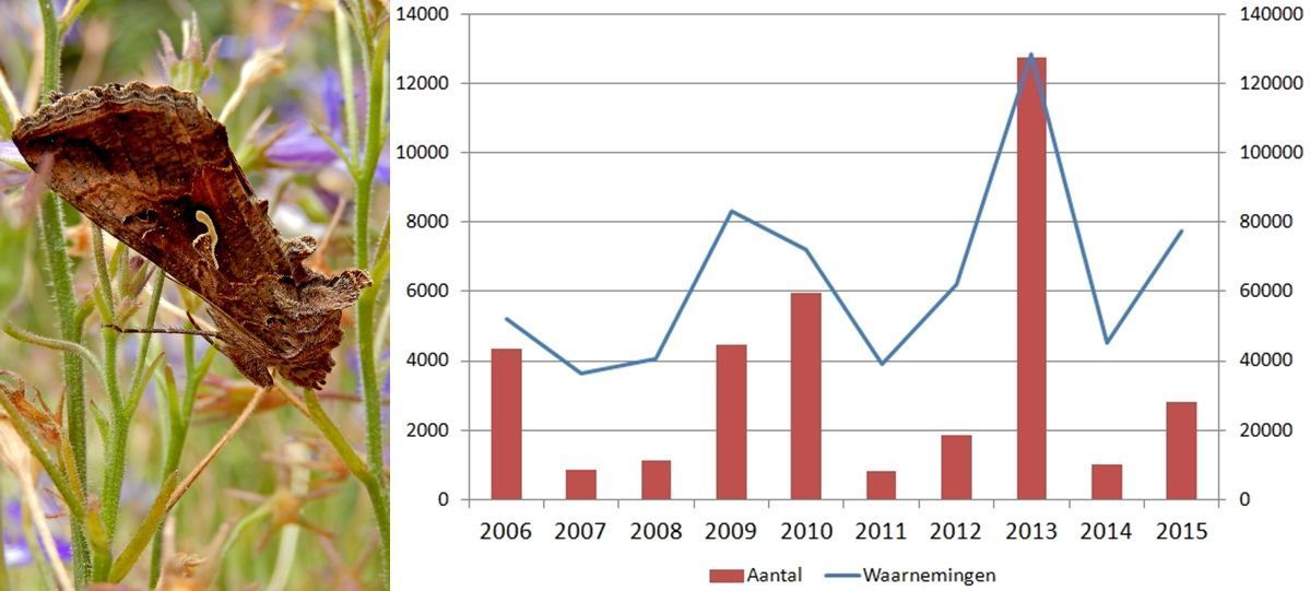 Gamma-uil, waarnemingen en aantal vlinders 2006 - 2015 (foto: Kars Veling, bron data: NDFF)