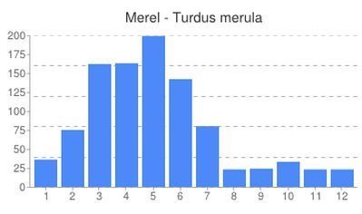 Aantal dode merels per maand gemeld op Waarnemingen.be sinds 2008