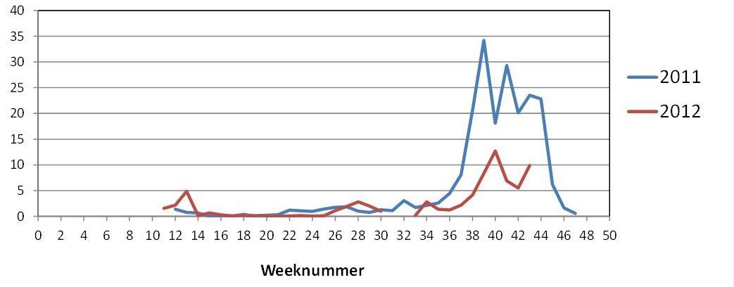 Gemiddeld aantal steekmuggen per dag per muggenval in 2011 en 2012 (bron: Wageningen University)