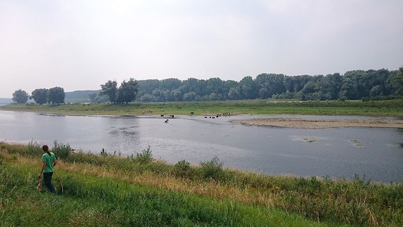 Voet aan wal in België (foto: Laura Kuipers)