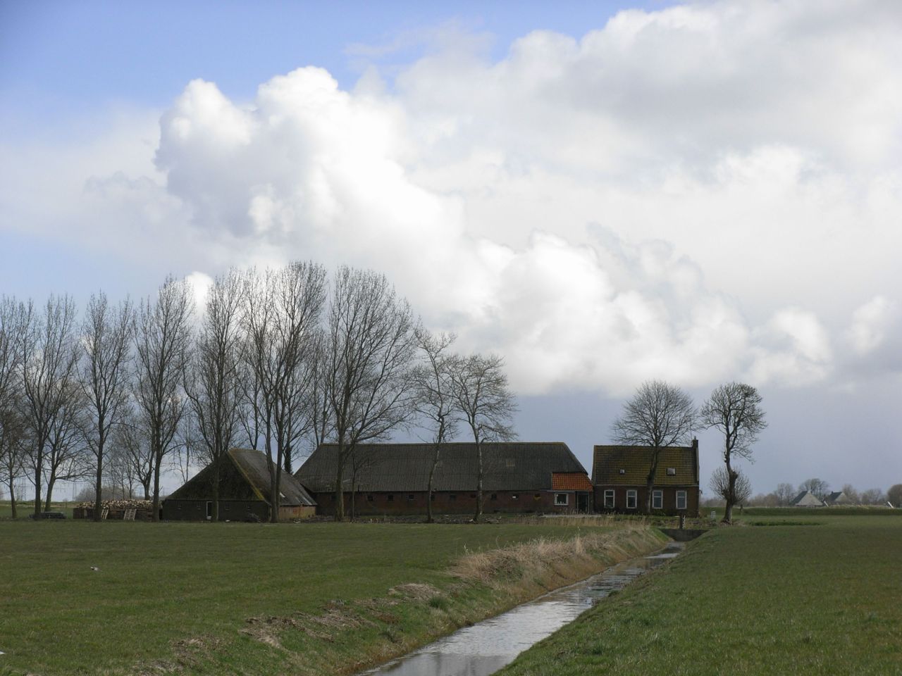 Bomen op het erf zorgen voor diversiteit en een beter milieu (foto: Marlies Sanders)