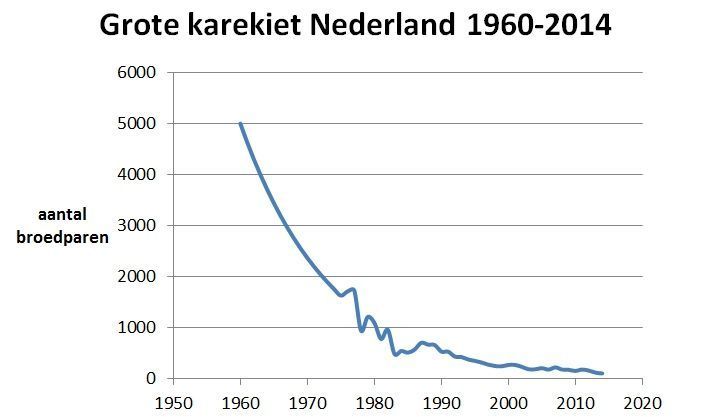 Aantal broedparen van de grote karekiet in Nederland van 1960 tot en met 2014 (figuur: NEM (Sovon en CBS))