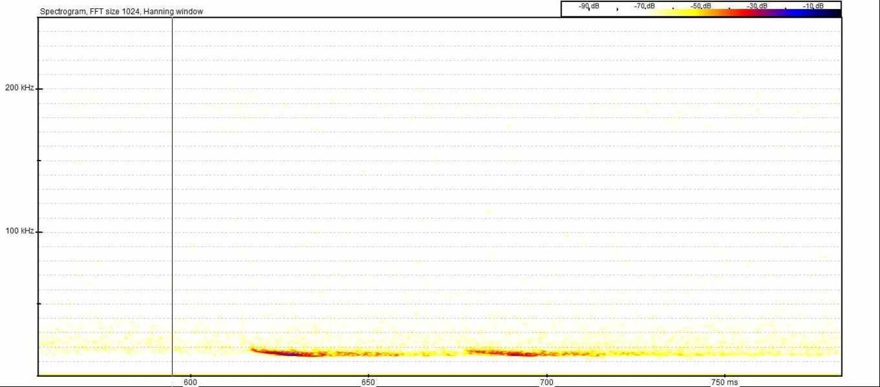 Een detail (een zoom op 200 milliseconden) van het weinig spectaculaire spectrogram van het geluid van de Grote rosse vleermuis dat op 20 april 2012 werd gedetecteerd in Heist. (bron: Vleermuizenwerkgroep Natuurpunt)