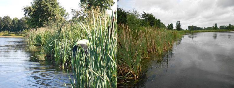 Links de Grote Vilt West en rechts de Grote Vilt Oost in de zomer van 2013 (foto: AQUON)