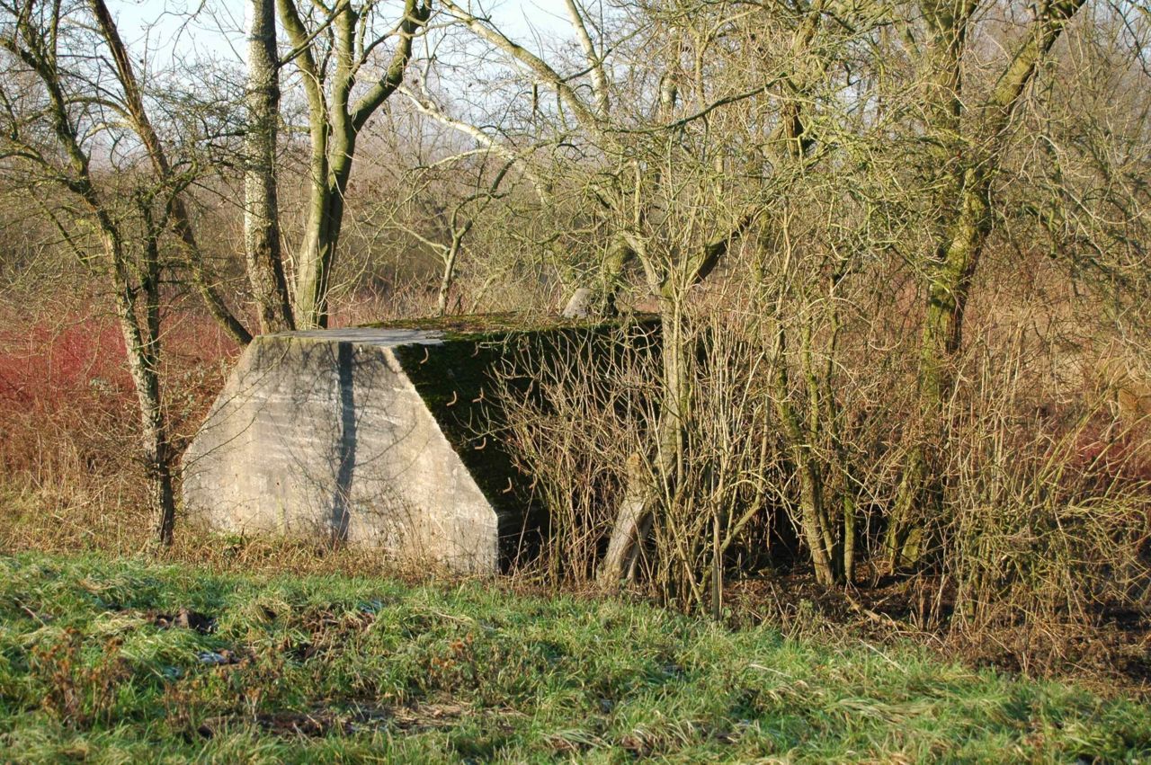 Groepsschuilplaats Diefdijk (foto: Bernadette van Noort)