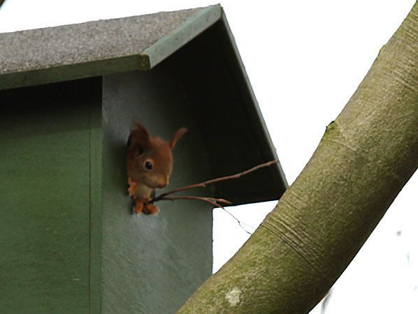 Hallo wereld (foto: Henni van der Zanden)