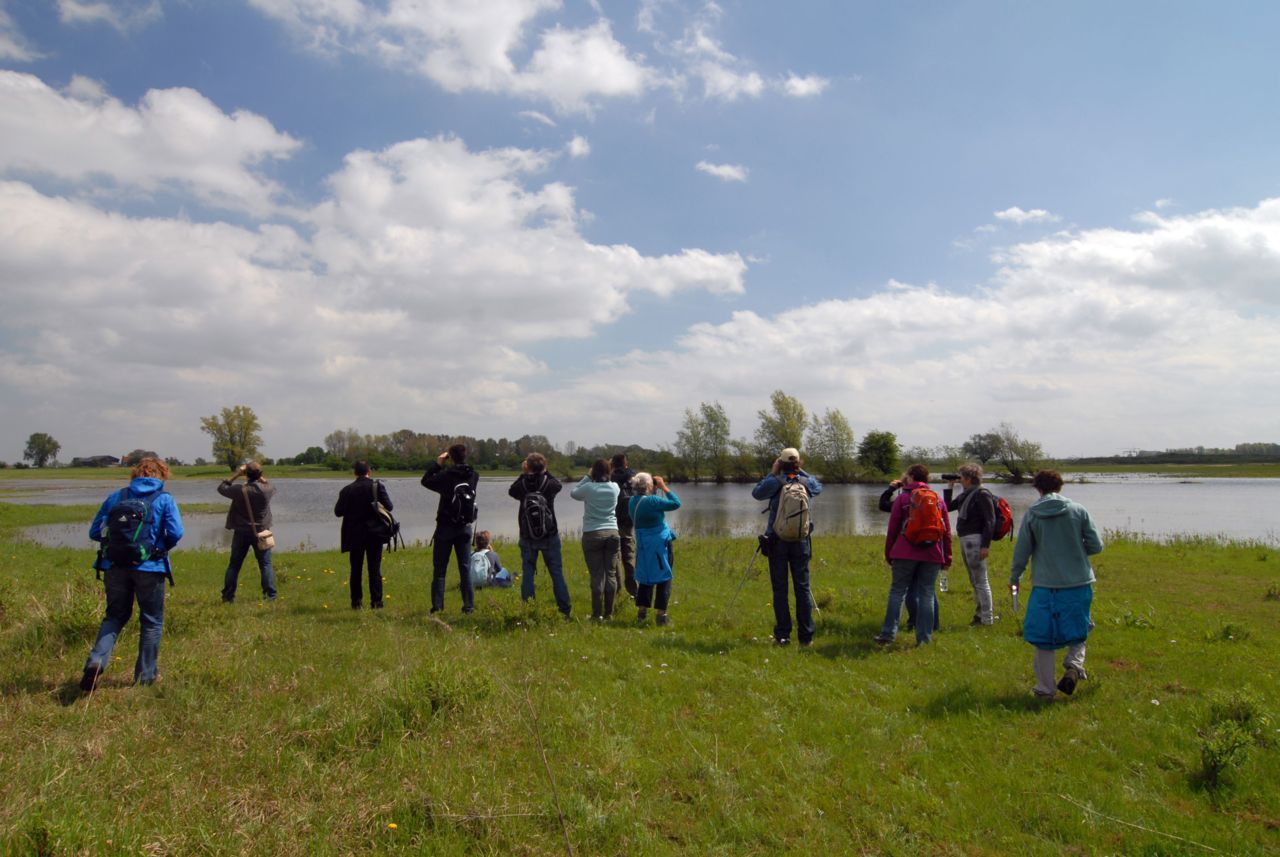 Vogelexcursie (foto: Harm Jan van Dijk)