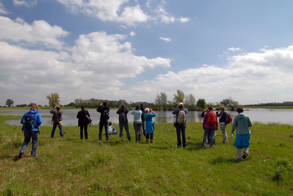 Op vogelexcursie (foto: Harm Jan van Dijk)