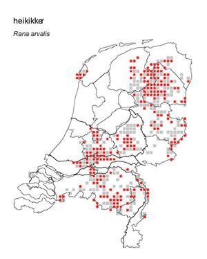 Verspreidingskaart heikikker 2010, rode stip is actuele aanwezigheid (kaartje: RAVON)