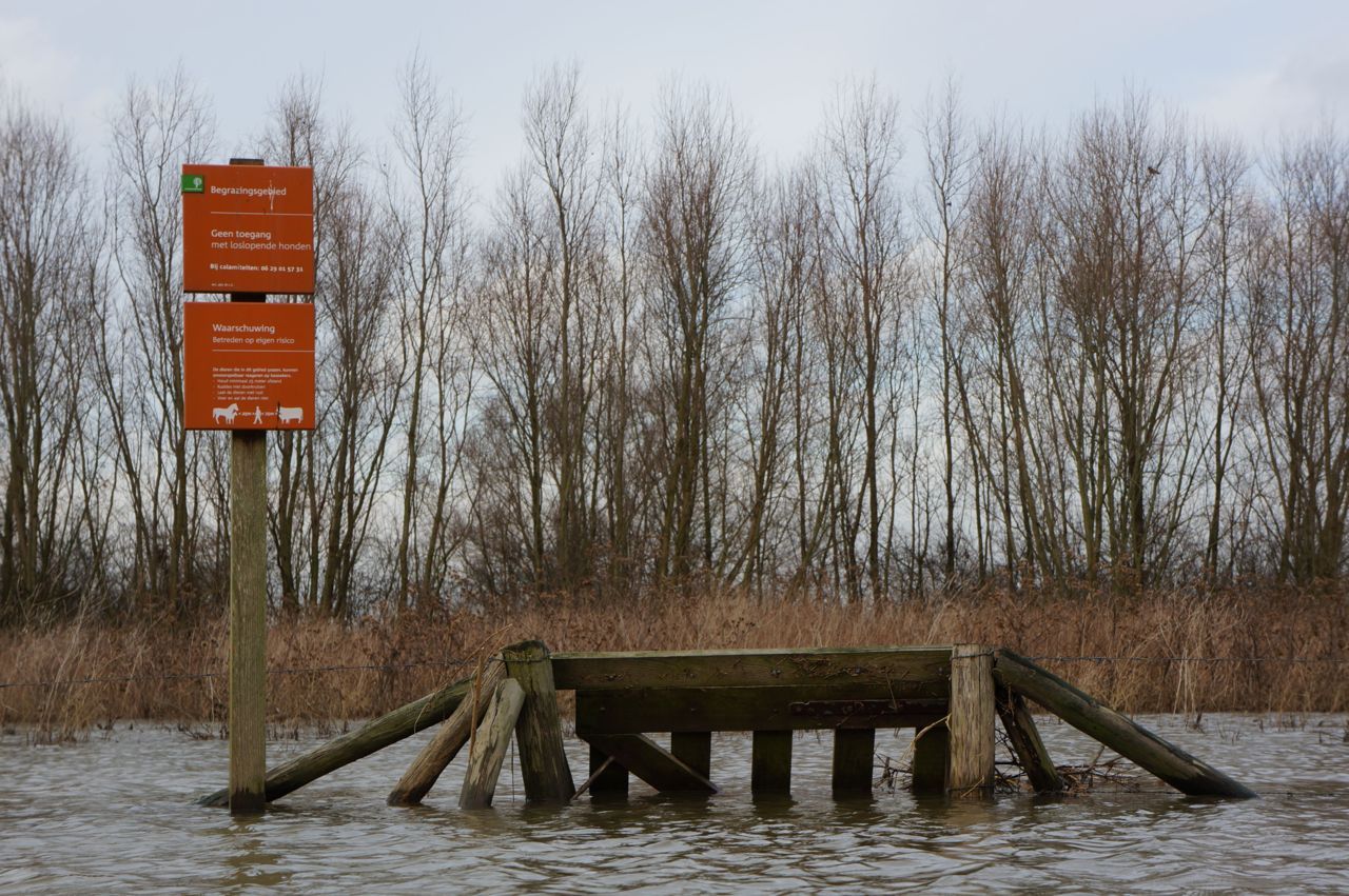 Natuur overstroomd bij hoog water (foto: ARK)